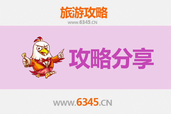 肇庆高要出发湄洲岛旅游攻略：跟团与自由行深度解析